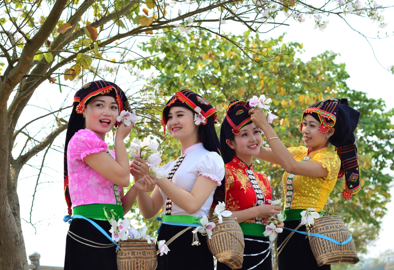 Rực rỡ Lễ hội Hoa Ban truyền thống của người dân tộc Thái ở Tây Bắc