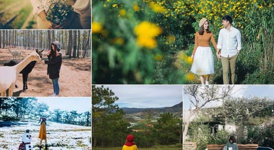 Cảm nhận vẻ đẹp của Đà Lạt vào đông