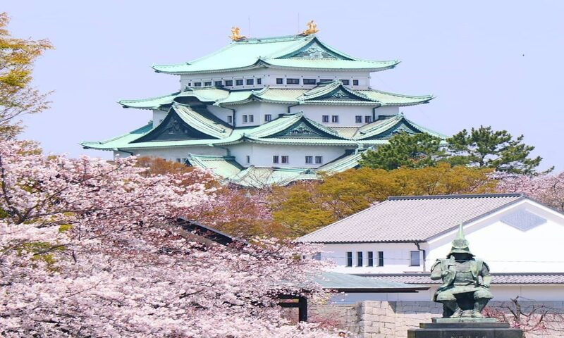Ngắm hoa anh đào từ lâu đài Nagoya