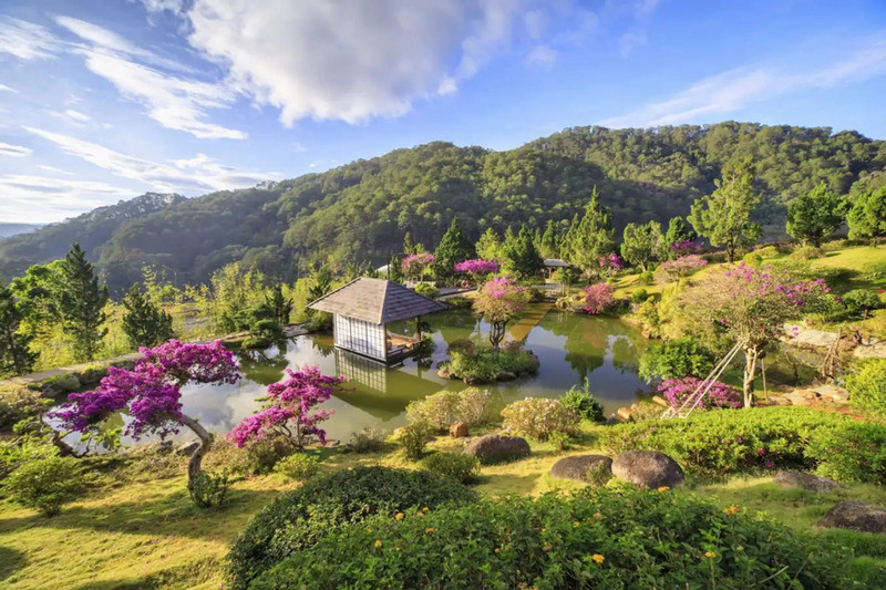 Tour Đà Lạt mùa thu - Vườn bonsai đậm chất Nhật Bản