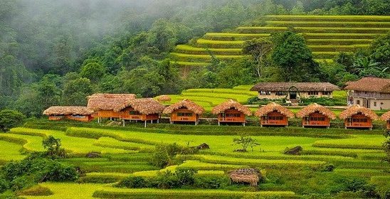 Hoàng Su Phì