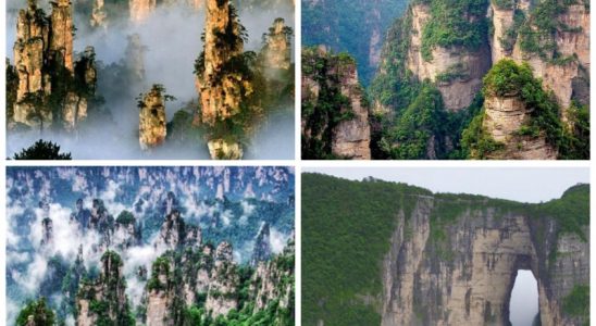 Trương Gia Giới -