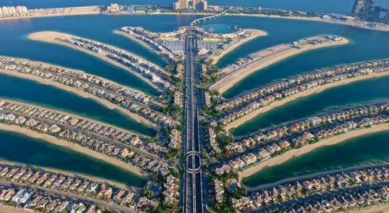Đảo cây cọ - Palm Islands