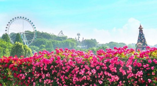 Vườn hoa hồng thơ mộng